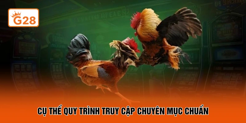 Cụ thể quy trình truy cập chuyên mục chuẩn