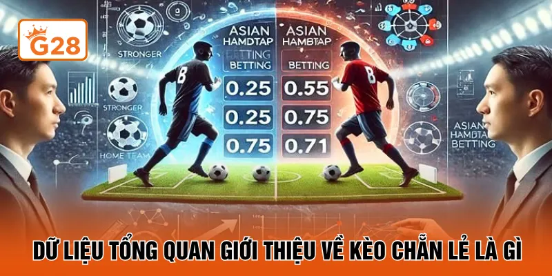 Dữ liệu tổng quan giới thiệu về kèo chẵn lẻ là gì