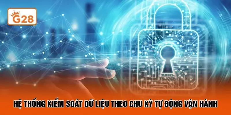 Hệ thống kiểm soát dữ liệu theo chu kỳ tự động vận hành