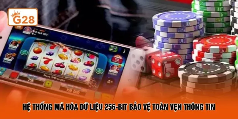 Hệ thống mã hóa dữ liệu 256-bit bảo vệ toàn vẹn thông tin
