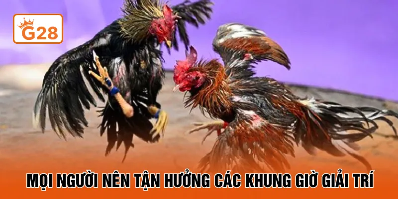 Mọi người nên tận hưởng các khung giờ giải trí