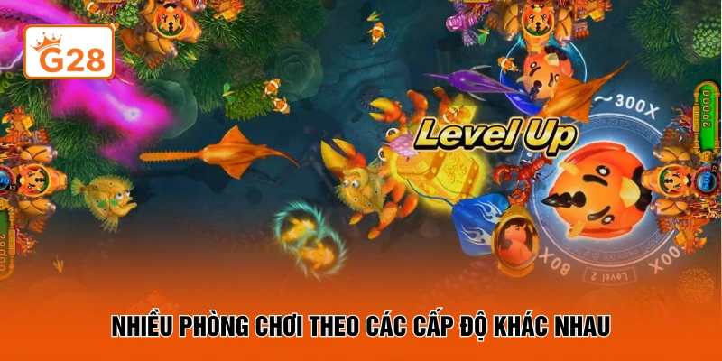 Nhiều phòng chơi theo các cấp độ khác nhau