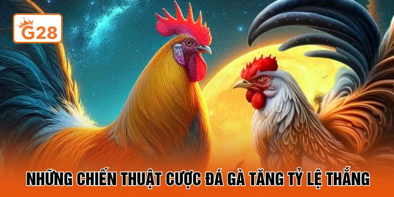 Những chiến thuật cược đá gà tăng tỷ lệ thắng