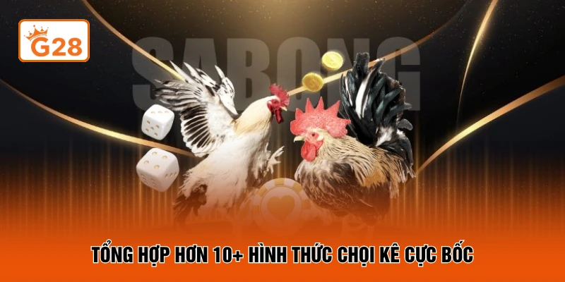Tổng hợp hơn 10+ hình thức chọi kê cực bốc